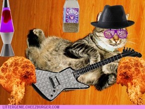 Bass Guitarist for Cat Nebula