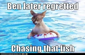 Ben later regretted   Chasing that fish
