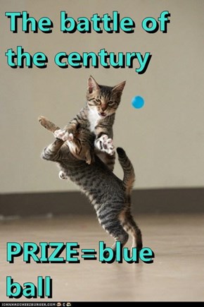 The battle of the century   PRIZE=blue ball