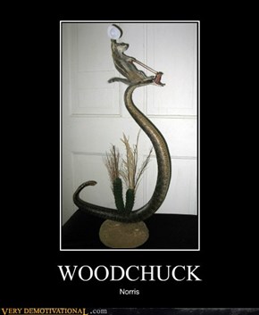WOODCHUCK