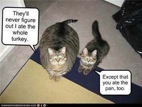 They'll never figure out I ate the whole turkey.