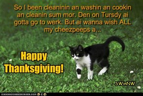 So I been cleaninin an washin an cookin an cleanin sum mor. Den on Tursdy ai gotta go to werk. But ai wanna wish ALL my cheezpeeps a...