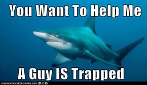 You Want To Help Me       A Guy IS Trapped