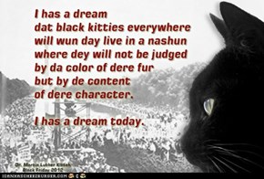 I Has A Dream