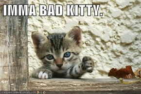 IMMA BAD KITTY.