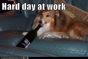 Hard day at work