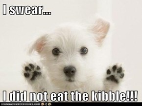 I swear...  I did not eat the kibble!!!