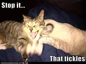Stop it...  That tickles