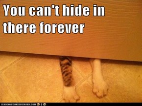 You can't hide in there forever