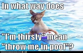 In what way does   "I'm thirsty" mean "throw me in pool"?