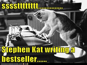 sssstttttttt...............  Stephen Kat writing a bestseller......