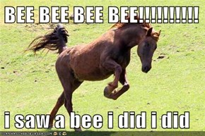 BEE BEE BEE BEE!!!!!!!!!!  i saw a bee i did i did