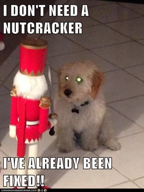 I DON'T NEED A NUTCRACKER  I'VE ALREADY BEEN FIXED!!