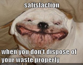 satisfaction  when you don't dispose of your waste properly