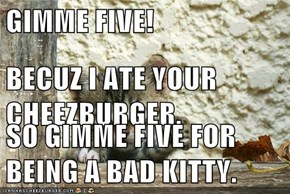GIMME FIVE! BECUZ I ATE YOUR CHEEZBURGER. SO GIMME FIVE FOR BEING A BAD KITTY.
