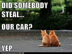 DID SOMEBODY STEAL... OUR CAR? YEP.