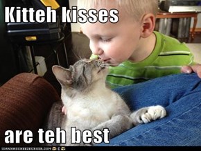 Kitteh kisses  are teh best