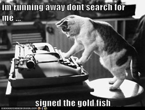 im running away dont search for me ...  signed the gold fish