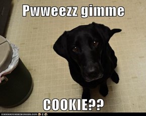 Pwweezz gimme  COOKIE??
