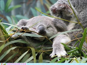 Soooooo tired
