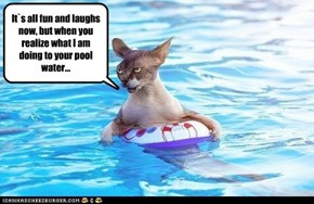 It`s all fun and laughs now, but when you realize what I am doing to your pool water...