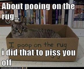 About pooing on the rug...  i did that to piss you off
