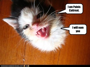 I am Painis Cattreat.