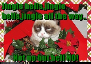Jingle bells,jingle bells,jingle all the way..         Not no but,hell NO!