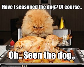 Have I seasoned the dog? Of course..