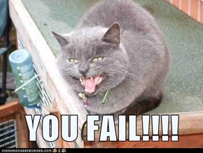 YOU FAIL!!!!