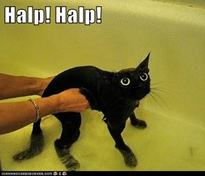 Halp! Halp!
