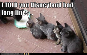 I TOLD you Disneyland had long lines...
