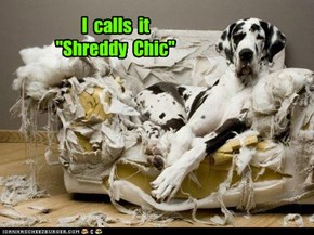 I  calls  it "Shreddy  Chic"