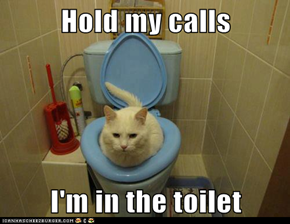 Hold my calls  I'm in the toilet
