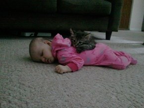 Nap Time!