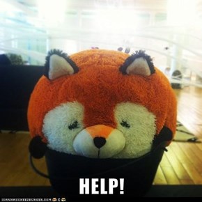 HELP!