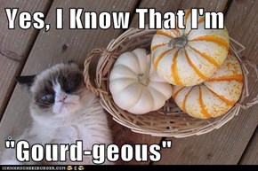 Yes, I Know That I'm  "Gourd-geous"