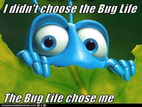 I didn't choose the Bug Life  The Bug Life chose me