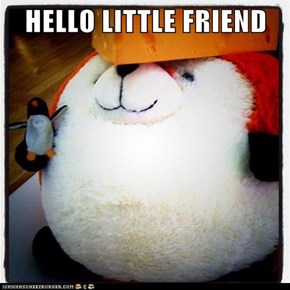 HELLO LITTLE FRIEND