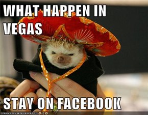 WHAT HAPPEN IN VEGAS  STAY ON FACEBOOK