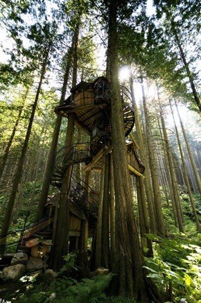 Tree House WIN