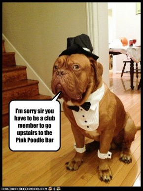 I'm sorry sir you have to be a club member to go upstairs to the Pink Poodle Bar