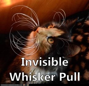 Invisible Whisker Pull