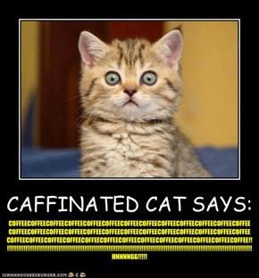 CAFFINATED CAT SAYS: