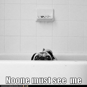 Noone must see  me