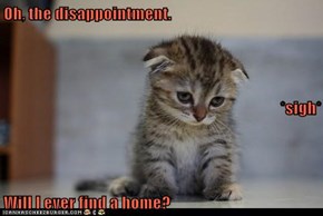 Oh, the disappointment. *sigh* Will I ever find a home?