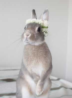 Bunday: Bridesmaid 
