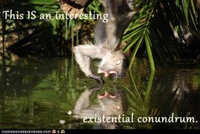 This IS an interesting   existential conundrum.