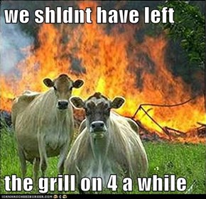 we shldnt have left  the grill on 4 a while