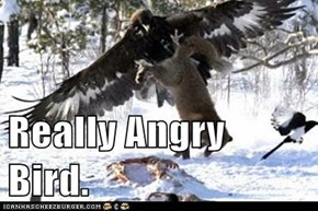 Really Angry Bird.